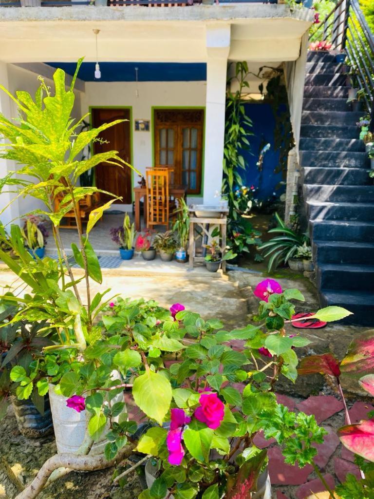 Mellow Homestay 엘라 외부 사진